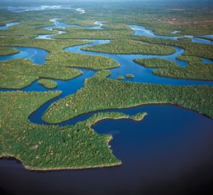 Alumni Lead the Charge to Restore Americas Everglades