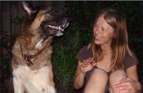 Researchers Doggedly Investigate What Canines See