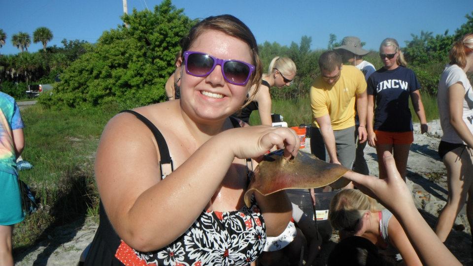 Holding Stingrays and Watching Dolphins play :)