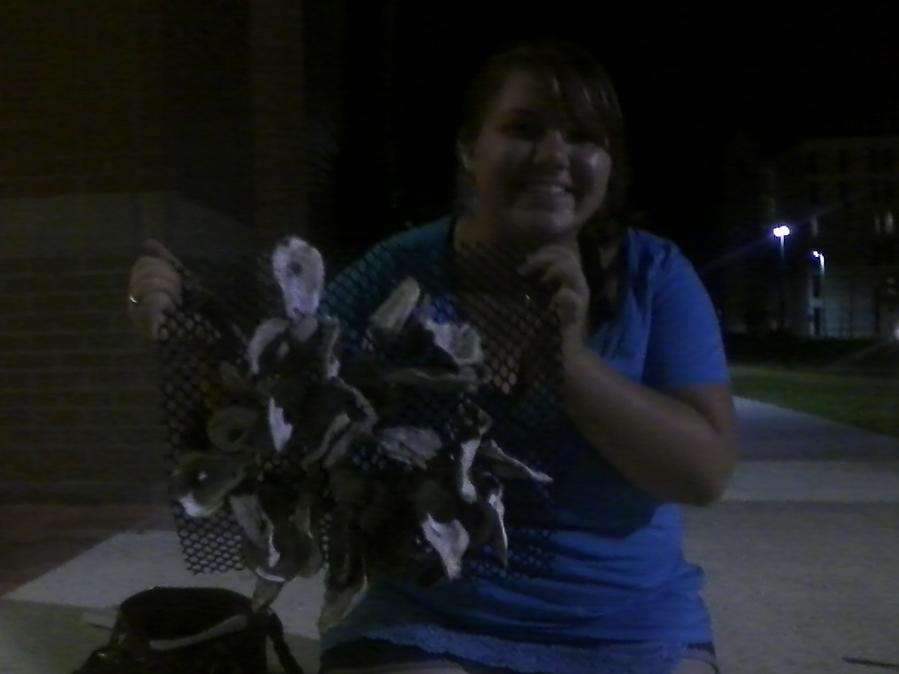 Marine Biology at Florida Tech: Saving Ecosystems 36 Shells at a Time