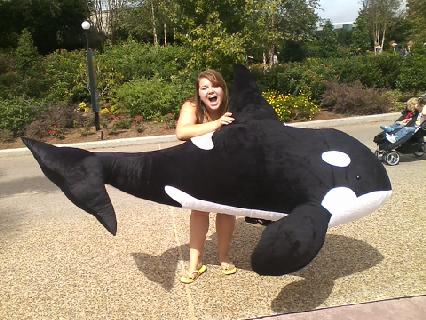 Sea World Adventure
