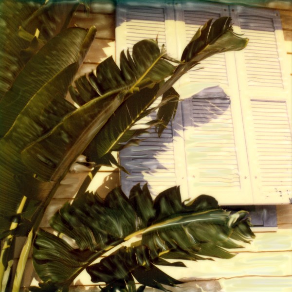 Foosaner Art Museum’s Free Museum Monday Features Polaroid Manipulations Feb. 27