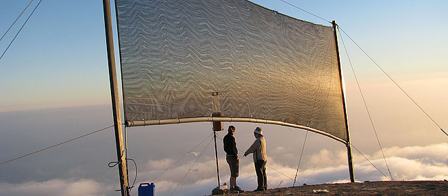 Fog Harvester Net