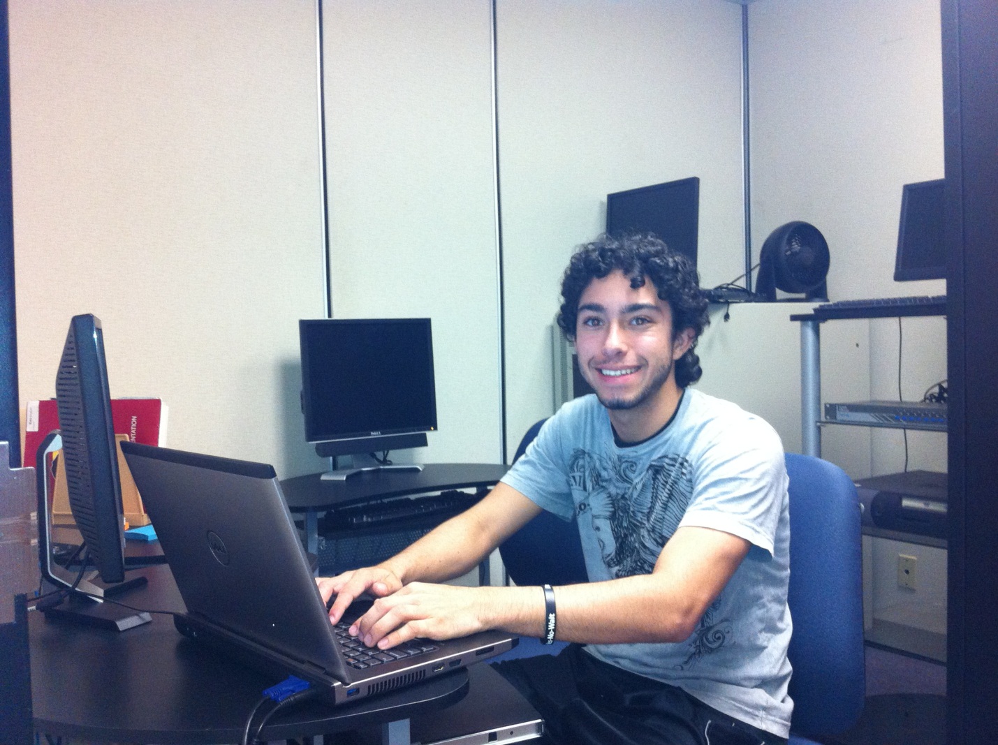 A Glimpse Into Government Usability and Accountability