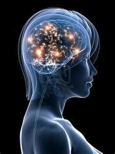 2 Women’s Intelligence & Gender Equality