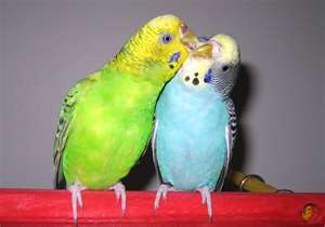 8 Couple Relationships