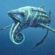 helicoprion