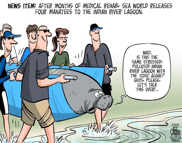 A Summer on the Lagoon