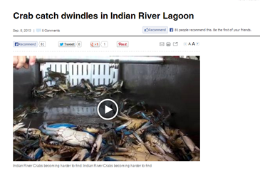 Troubled Times for the Crab Populations in the Indian River Lagoon