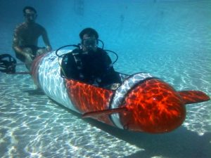 marine and ocean engineering