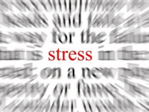 signs of stress
