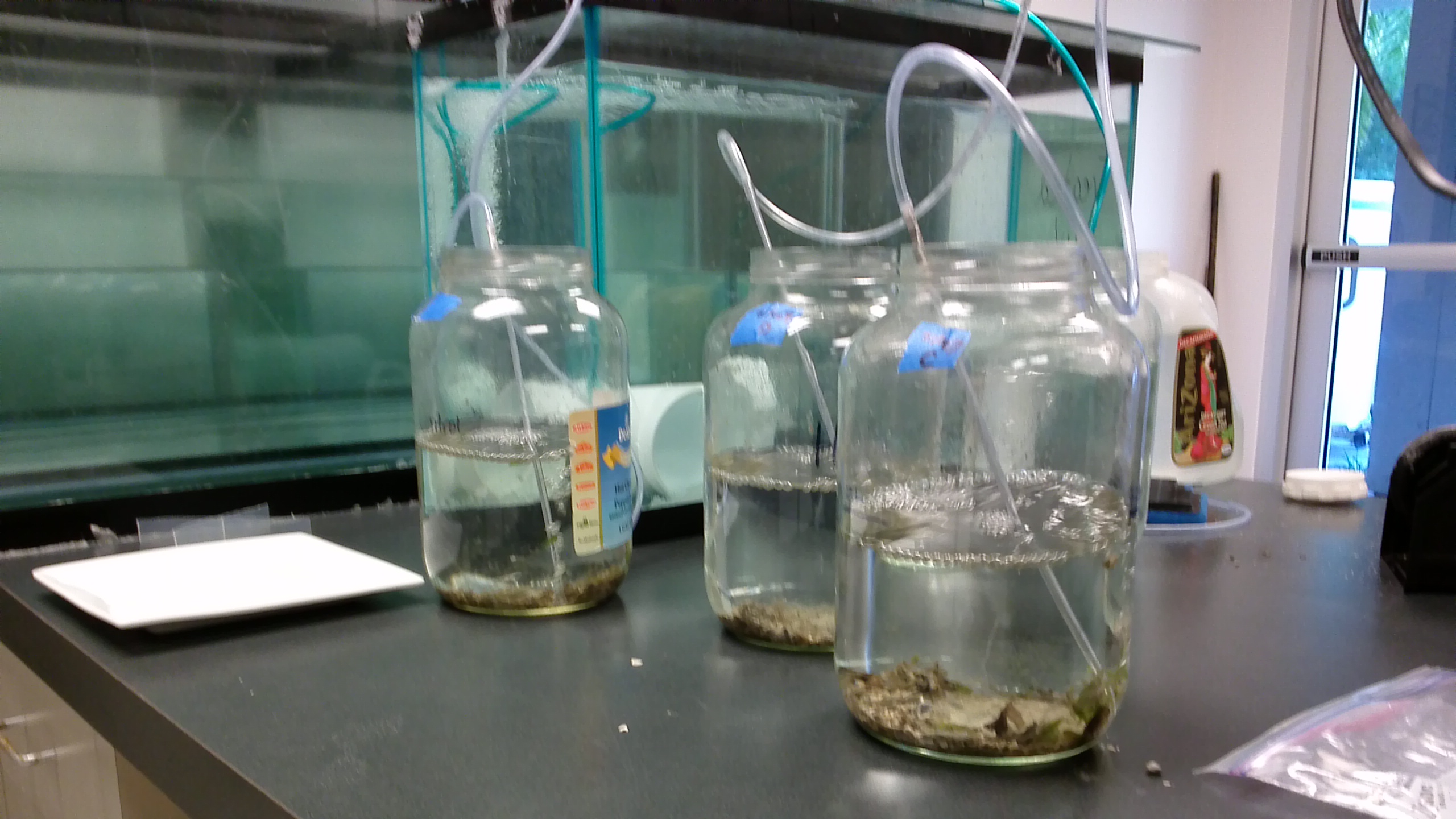 OES Field Projects: Oceanography