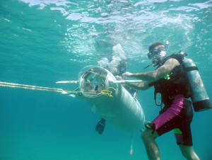 ocean careers in ocean engineering