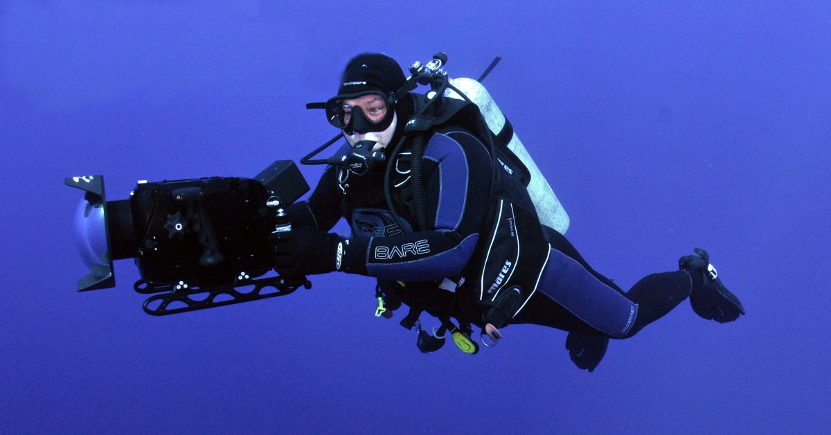 Meet Alumna Hannah ’02: American Shark Conservancy Founder