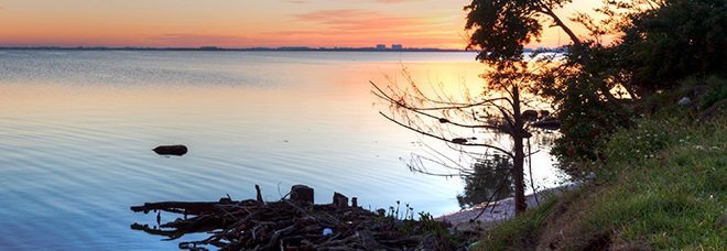 Indian River Lagoon Research Institute Holds Technical Conference Sept. 25-26
