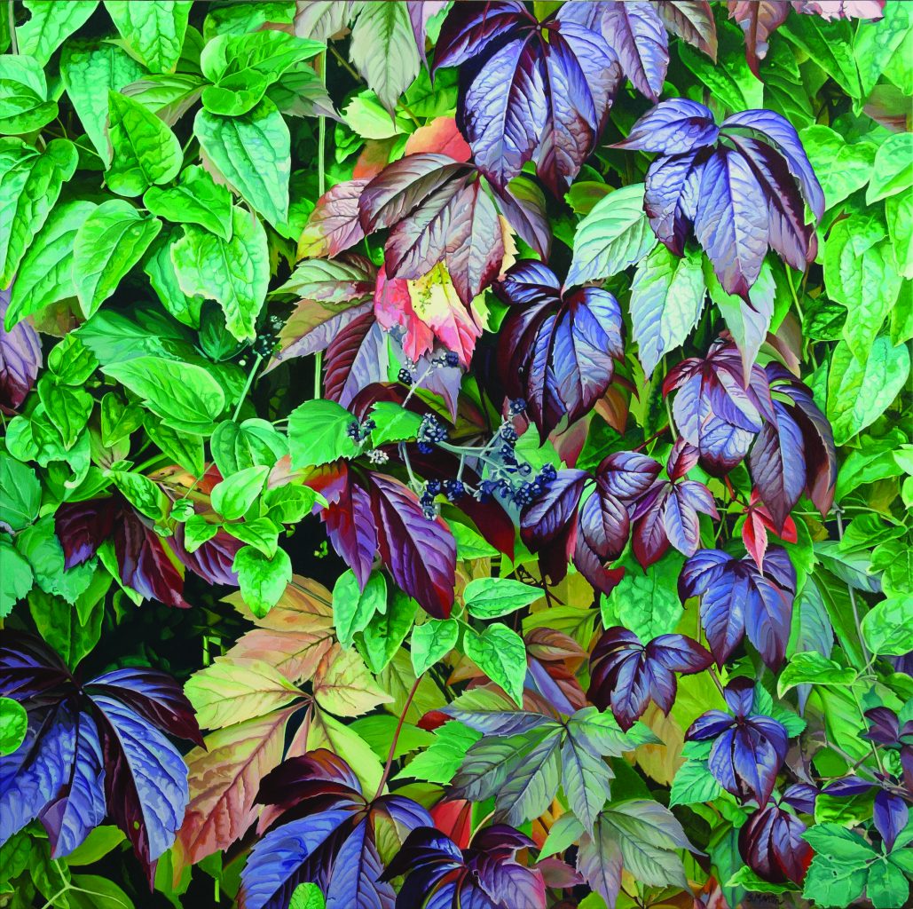 hyper-realistic paintings