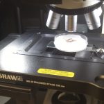 renishaw raman microscope