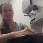renishaw raman microscope