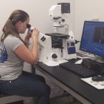renishaw raman microscope