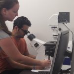 renishaw raman microscope