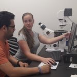 renishaw raman microscope