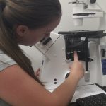 renishaw raman microscope