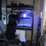 Goldfish Playing Soccer