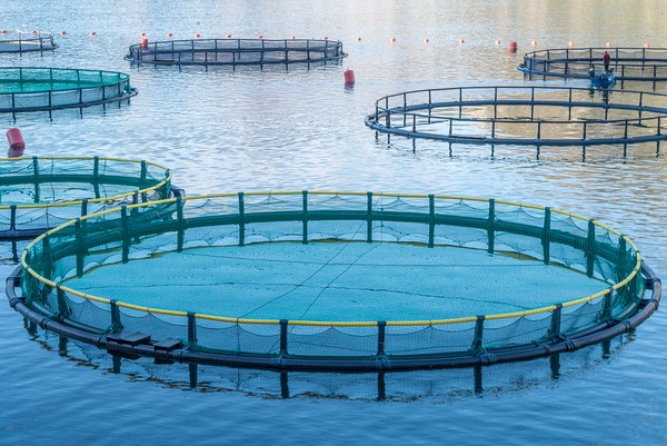 aquaculture