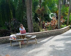 Florida Tech Picnic Tables