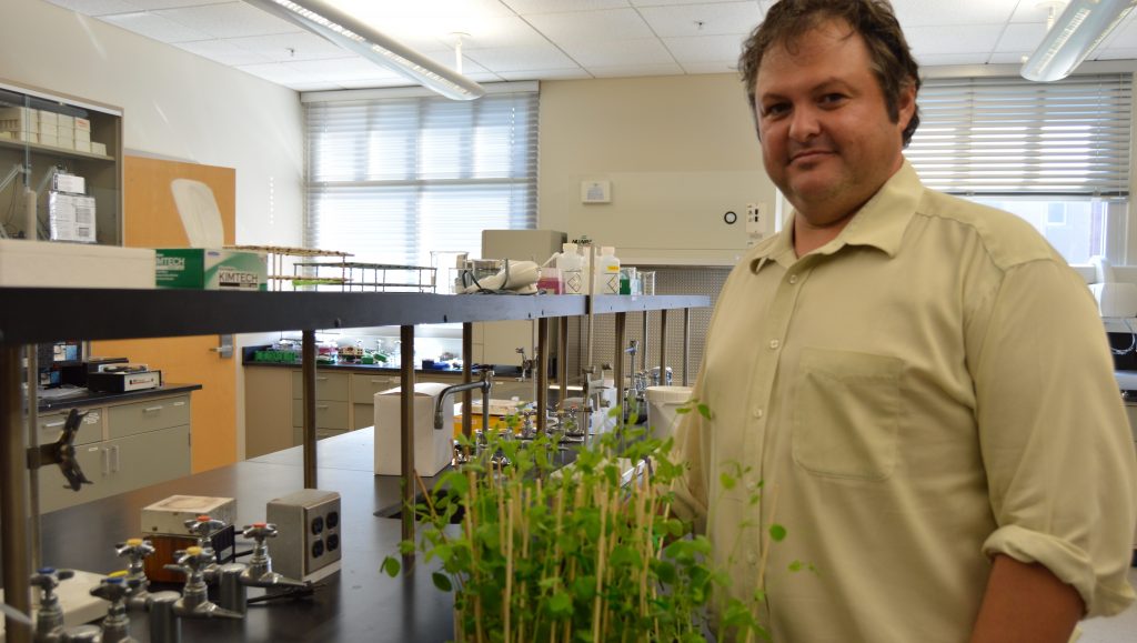 Dr. Palmer grows a Florida Tech Mars Garden