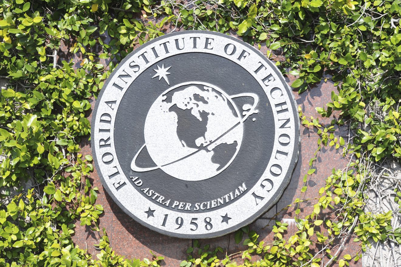 T. Dwayne and Mary Helen McCay Establish Endowed Professorships