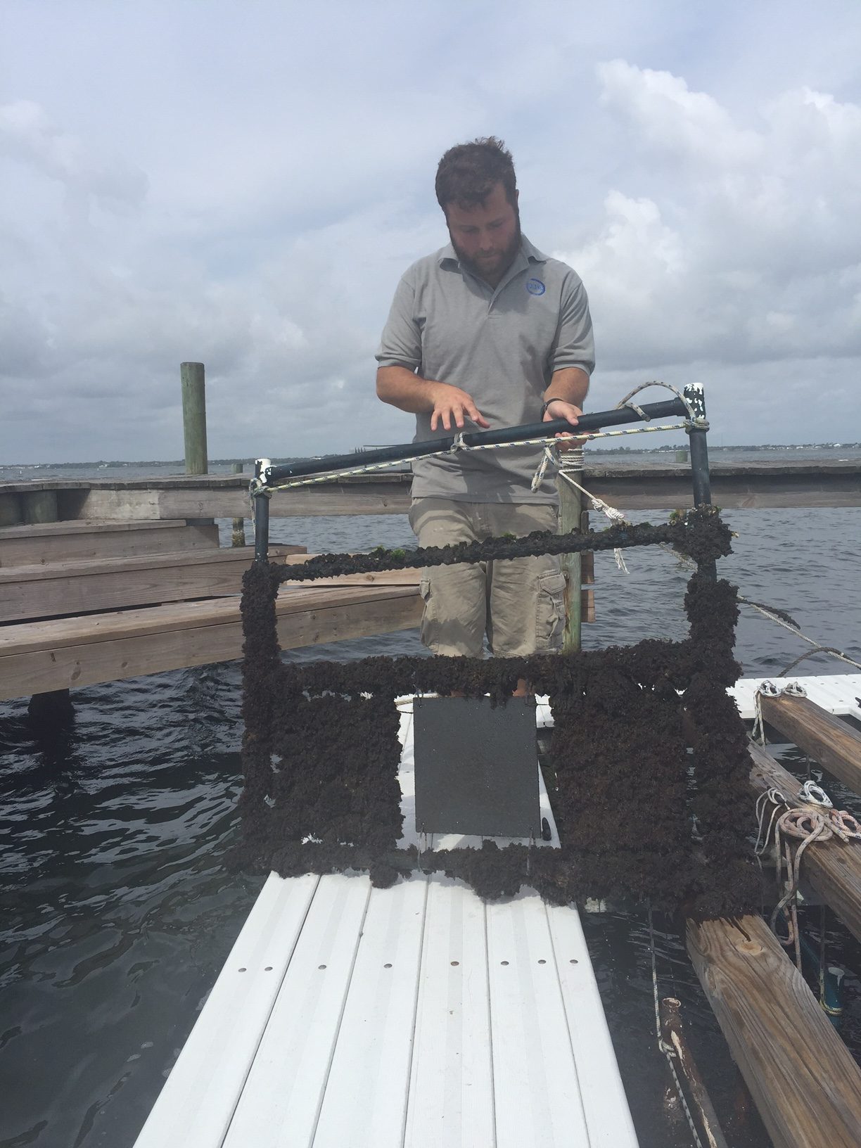 Listening to the Lagoon: What its Creatures Can Tell Us About its Health