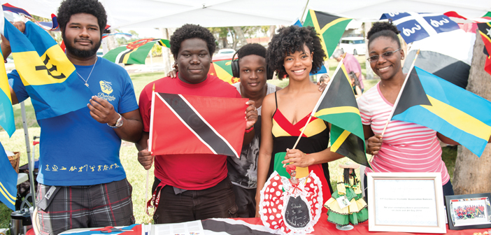 international diversity university