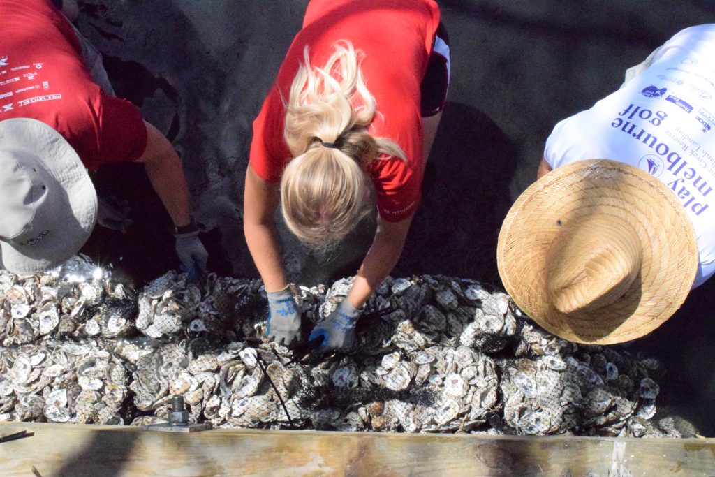 oyster reefs