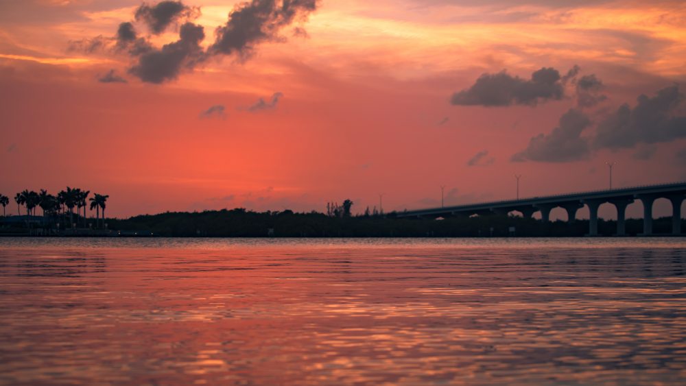 Help Heal the Indian River Lagoon at TechCon2017:  September 29, 2017