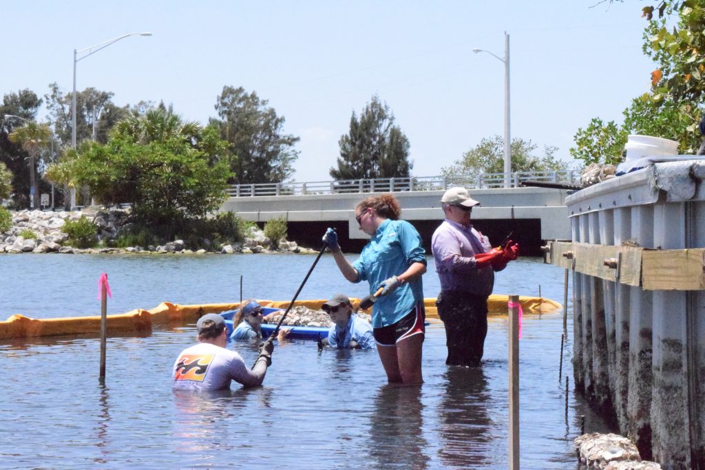 Engineers and Scientists Band Together to Research Issues Plaguing Our Oceans and Estuaries
