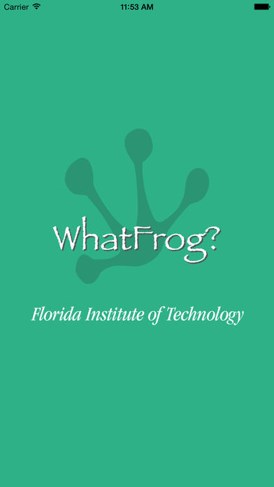 whatfrog