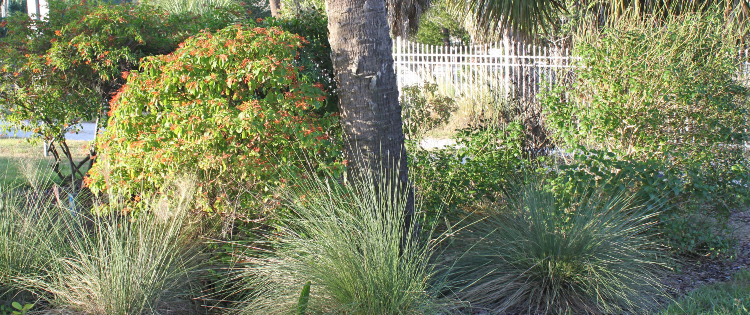 Student Researcher Helping to Make Lawns Lagoon Friendly