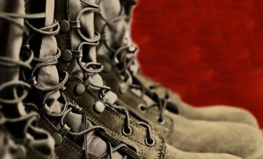 388 Veterans & Mental Health