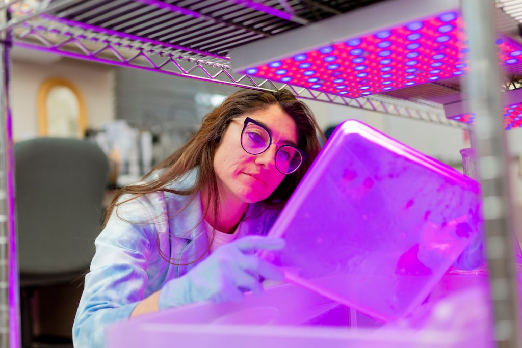 Female student in astrobiology lab looking at a tray