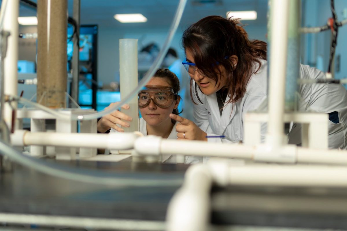 students working in a lab