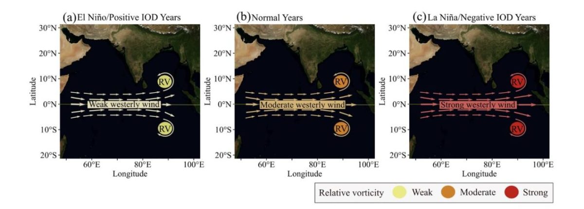 New Research on Pacific Climate Pattern May Lead to Improved Cyclone Forecasting