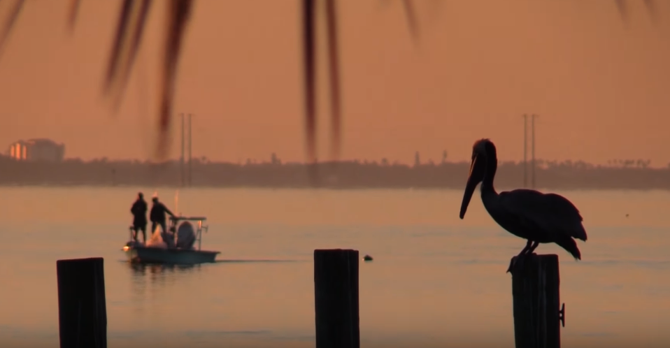 Health, Restoration of Indian River Lagoon Focus of June 23 Public Event at Florida Tech