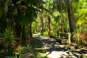 The Joy and Gordon Patterson Botanical Garden at Florida Tech.