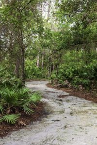 A nature trail in Turkey Creek Sanctuary.
