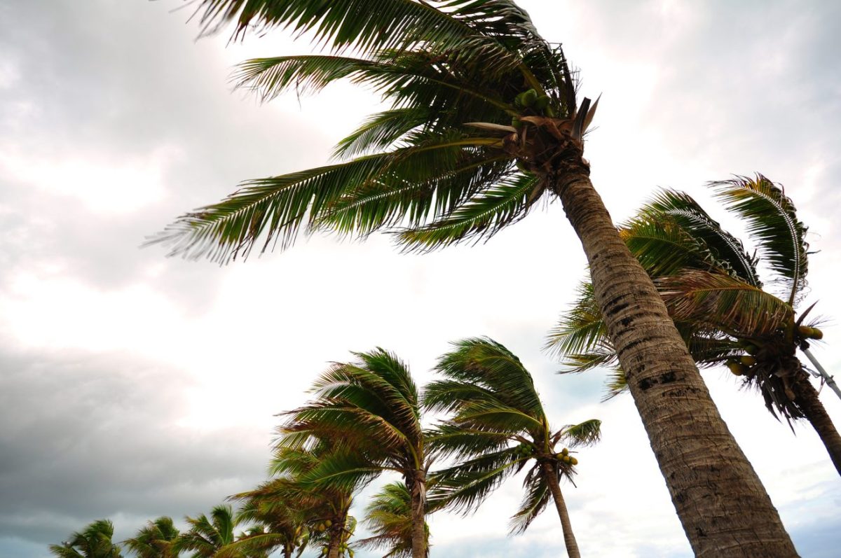 Nature Serves as Inspiration for Manufacturing Research