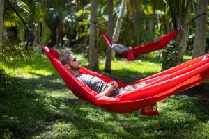 Students relaxing in hammocks rented from Evans Library, courtesy of the Student Government Association.