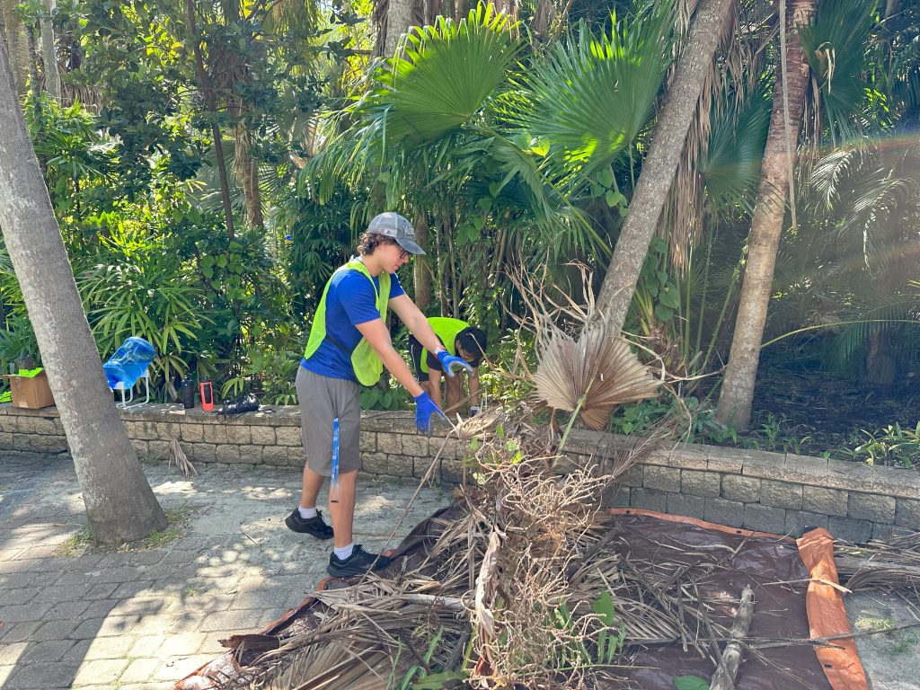 Students from associate professor Natalie Dorfeld's class joined KPBS to for their monthly botanical garden cleanup.
