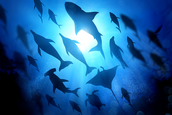 Two Seniors Awarded Kerry Bruce Clark Endowed Scholarships