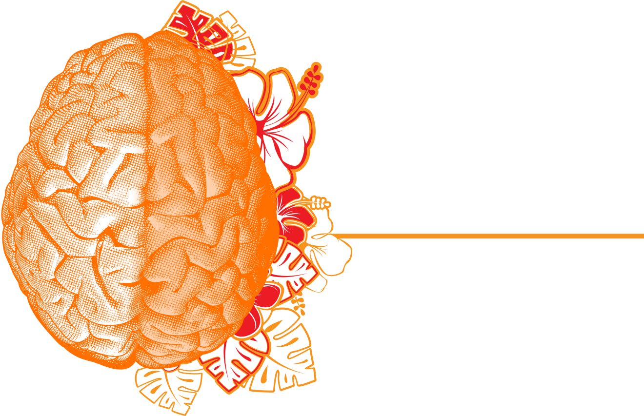 From Launch to Leadership